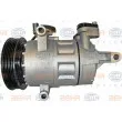 Compresseur, climatisation HELLA 8FK 351 334-521 - Visuel 1