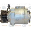 Compresseur, climatisation HELLA 8FK 351 334-611 - Visuel 1