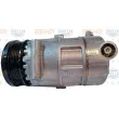 Compresseur, climatisation HELLA 8FK 351 334-931 - Visuel 1