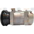 Compresseur, climatisation HELLA 8FK 351 334-991 - Visuel 1
