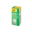 Ampoule HELLA 8GD 002 078-221 - Visuel 1