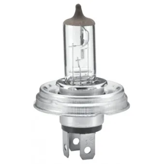 Ampoule, projecteur principal HELLA 8GD 002 088-071