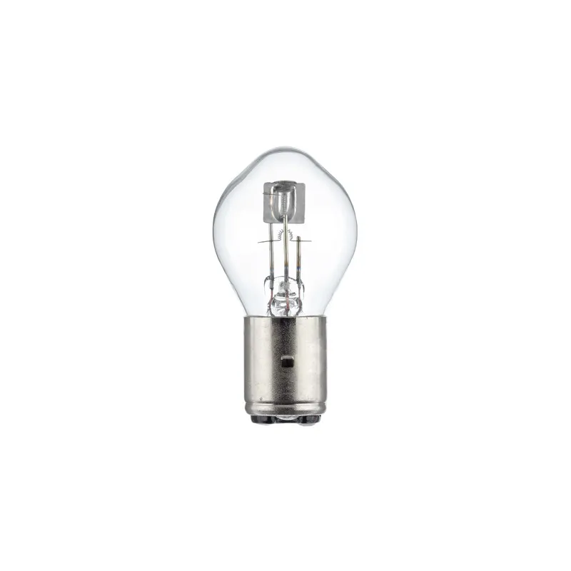 Ampoule HELLA 8GD 008 898-061