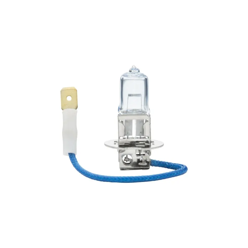 Ampoule HELLA 8GH 002 090-371