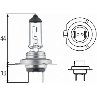 Ampoule, projecteur principal HELLA 8GH 178 560-493