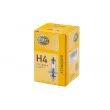 Ampoule, projecteur longue portée HELLA 8GJ 002 525-131 - Visuel 1