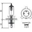 Ampoule, projecteur principal HELLA 8GJ 002 525-201 - Visuel 1