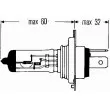 Ampoule, projecteur principal HELLA 8GJ 002 525-201 - Visuel 2