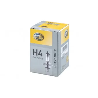 Ampoule, projecteur longue portée HELLA 8GJ 002 525-251