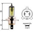 Ampoule, projecteur principal HELLA 8GJ 002 525-341 - Visuel 1