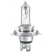 Ampoule, projecteur principal HELLA 8GJ 002 525-481 - Visuel 2
