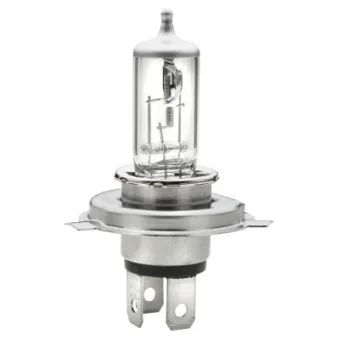 Ampoule, projecteur principal HELLA 8GJ 002 525-898