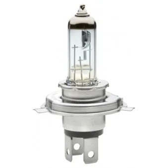 Ampoule, projecteur principal HELLA 8GJ 002 525-988