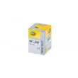 Ampoule HELLA 8GP 002 095-241 - Visuel 1