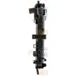 Radiateur, refroidissement du moteur HELLA 8MK 376 700-341 - Visuel 3