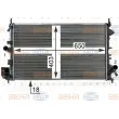 Radiateur, refroidissement du moteur HELLA 8MK 376 700-351 - Visuel 1