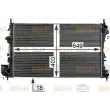 Radiateur, refroidissement du moteur HELLA 8MK 376 700-664 - Visuel 1