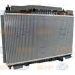 Radiateur, refroidissement du moteur HELLA 8MK 376 701-651 - Visuel 3