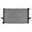 Radiateur, refroidissement du moteur HELLA 8MK 376 706-741 - Visuel 2