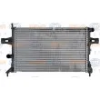 Radiateur, refroidissement du moteur HELLA 8MK 376 710-311 - Visuel 2