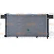 Radiateur, refroidissement du moteur HELLA 8MK 376 711-451 - Visuel 2