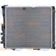Radiateur, refroidissement du moteur HELLA 8MK 376 712-421 - Visuel 2