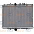 Radiateur, refroidissement du moteur HELLA 8MK 376 714-401 - Visuel 2