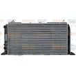 Radiateur, refroidissement du moteur HELLA 8MK 376 714-471 - Visuel 2