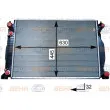 Radiateur, refroidissement du moteur HELLA 8MK 376 715-341 - Visuel 1