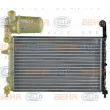 Radiateur, refroidissement du moteur HELLA 8MK 376 716-121 - Visuel 2