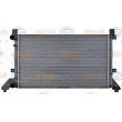 Radiateur, refroidissement du moteur HELLA 8MK 376 719-701 - Visuel 2