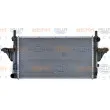Radiateur, refroidissement du moteur HELLA 8MK 376 719-754 - Visuel 2