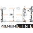 Radiateur, refroidissement du moteur HELLA 8MK 376 721-021 - Visuel 1