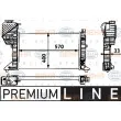Radiateur, refroidissement du moteur HELLA 8MK 376 721-351 - Visuel 1