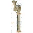 Radiateur, refroidissement du moteur HELLA 8MK 376 721-381 - Visuel 3