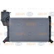 Radiateur, refroidissement du moteur HELLA 8MK 376 721-431 - Visuel 2