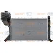 Radiateur, refroidissement du moteur HELLA 8MK 376 721-631 - Visuel 2