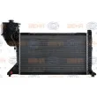 Radiateur, refroidissement du moteur HELLA 8MK 376 722-261 - Visuel 2