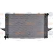 Radiateur, refroidissement du moteur HELLA 8MK 376 726-761 - Visuel 2