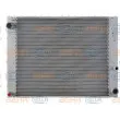 Radiateur, refroidissement du moteur HELLA 8MK 376 729-511 - Visuel 2