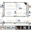 Radiateur, refroidissement du moteur HELLA 8MK 376 745-791 - Visuel 1