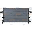 Radiateur, refroidissement du moteur HELLA 8MK 376 754-081 - Visuel 2