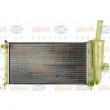 Radiateur, refroidissement du moteur HELLA 8MK 376 754-421 - Visuel 2