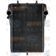 Radiateur, refroidissement du moteur HELLA 8MK 376 765-141 - Visuel 2