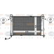 Radiateur, refroidissement du moteur HELLA 8MK 376 769-751 - Visuel 1