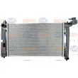 Radiateur, refroidissement du moteur HELLA 8MK 376 773-631 - Visuel 2