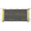Radiateur, refroidissement du moteur HELLA 8MK 376 900-081 - Visuel 2