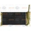 Radiateur, refroidissement du moteur HELLA 8MK 376 900-271 - Visuel 2