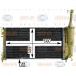 Radiateur, refroidissement du moteur HELLA 8MK 376 900-274 - Visuel 1