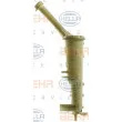 Radiateur, refroidissement du moteur HELLA 8MK 376 900-274 - Visuel 3